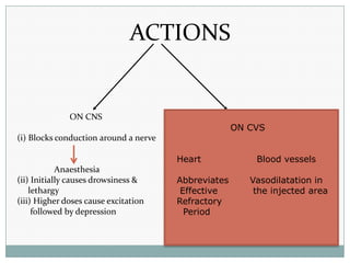 ACTIONS

ON CNS
ON CVS
(i) Blocks conduction around a nerve
Heart
Anaesthesia
(ii) Initially causes drowsiness &
lethargy
...