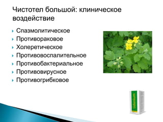 Lidonium | PPT