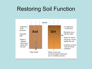 Restoring Soil Function 