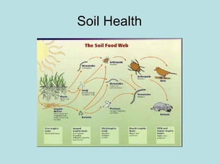 Soil Health 