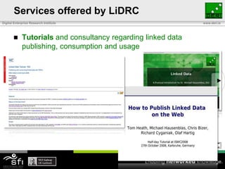 Services offered by LiDRCTutorials and consultancy regarding linked data publishing, consumption and usage