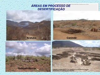 ÁREAS EM PROCESSO DE
            DESERTIFICAÇÃO




      Aratuba
     ARATUBA
                           Canindé




Independência
 