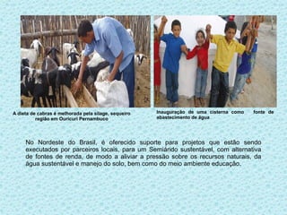 A dieta de cabras é melhorada pela silage, sequeiro   Inauguração de uma cisterna como   fonte de
          região em Ouricuri Pernambuco               abastecimento de água




     No Nordeste do Brasil, é oferecido suporte para projetos que estão sendo
     executados por parceiros locais, para um Semiárido sustentável, com alternativa
     de fontes de renda, de modo a aliviar a pressão sobre os recursos naturais, da
     água sustentável e manejo do solo, bem como do meio ambiente educação.
 