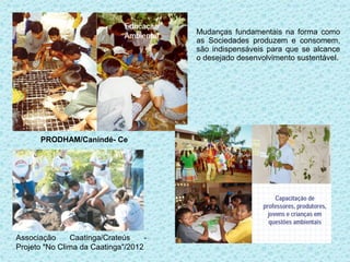 Mudanças fundamentais na forma como
                                        as Sociedades produzem e consomem,
                                        são indispensáveis para que se alcance
                                        o desejado desenvolvimento sustentável.




      PRODHAM/Canindé- Ce




Associação     Caatinga/Crateús     -
Projeto "No Clima da Caatinga"/2012
 