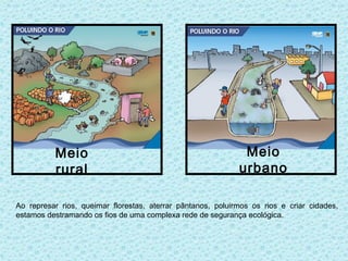 Meio                                                Meio
          rural                                              urbano

Ao represar rios, queimar florestas, aterrar pântanos, poluirmos os rios e criar cidades,
estamos destramando os fios de uma complexa rede de segurança ecológica.
 