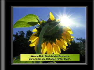 „Wende Dein Gesicht der Sonne zu,
dann fallen die Schatten hinter Dich“.
 