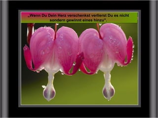 „Wenn Du Dein Herz verschenkst verlierst Du es nicht
sondern gewinnt eines hinzu".
 