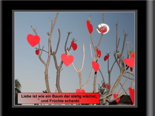 „Liebe ist wie ein Baum der stetig wächst
und Früchte schenkt".
 