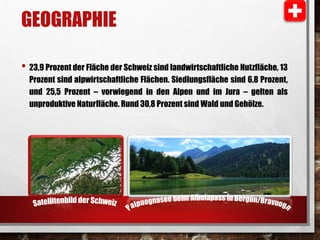 GEOGRAPHIE 
• 23,9 Prozent der Fläche der Schweiz sind landwirtschaftliche Nutzfläche, 13 
Prozent sind alpwirtschaftliche Flächen. Siedlungsfläche sind 6,8 Prozent, 
und 25,5 Prozent – vorwiegend in den Alpen und im Jura – gelten als 
unproduktive Naturfläche. Rund 30,8 Prozent sind Wald und Gehölze. 
 