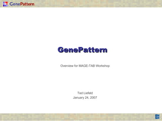 GenePattern Overview for MAGE-TAB Workshop Ted Liefeld January 24, 2007 