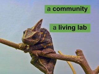 a community

 a living lab
 