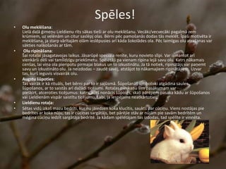 Spēles!
• Olu meklēšana:
Lielā daļā ģimeņu Lieldienu rīts sākas tieši ar olu meklēšanu. Vecāki/vecvecāki pagalmā zem
krūmiem, uz velēnām un citur saslēpj olas. Bērni pēc pamošanās dodas tās meklēt. Īpaši motivēta ir
meklēšana, ja starp vārītajām olām ieslēpusies arī kāda šokolādes ola. Pēc laimīgas olu atrašanas var
sākties našķošanās ar tām.
• Olu ripināšana:
Šai rotaļai jāsagatavojas laikus. Jāsarūpē speciāla renīte, kuru novieto slīpi. Var izmantot arī
vienkārši dēli vai tamlīdzīgu priekšmetu. Spēlētāji pa vienam ripina lejā savu olu. Katrs nākamais
cenšas, lai viņa ola pieripotu pirmajai blakus un to izkustinātu. Ja tā notiek, ripinātājs var paņemt
savu un izkustināto olu. Ja neizdodas – zaudē savēj, atstājot to nākamajiem ripinātājiem. Uzvar
tas, kurš ieguvis visvairāk olu.
• Augstu šūpoties:
Tas vairāk ir kā rituāls, bet bērni par to ir sajūsmā. Šūpošanās simboliski atgādina saules
šūpošanos, ar to saistās arī dažādi ticējumi. Rotaļas pieskaņu šim pasākumam var
piešķirt, atceroties ticējumus: katrs, kurš nonācis šūpolēs, skaļi pārējiem pasaka kādu ar šūpošanos
vai Lieldienām vispār saistītu ticējumu. Labi, ja iespējams neatkārtoties.
• Lieldienu rotaļa:
• Sētas vidū izkaš mazu bedrīti, kur nu jāiedzen koka klucītis, saukts par cūciņu. Viens nostājas pie
bedrītes ar koka nūju, tas ir cūciņas sargātājs, bet pārējie stāv ar nūjām pie savām bedrītēm un
mēģina cūciņu iedzīt sargātāja bedrītē. Ja kādam spēlētājam tas izdodas, tad spēlīte ir vinnēta.
 