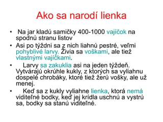 Lienka.ppt