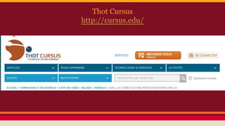 Thot Cursus
http://cursus.edu/
 
