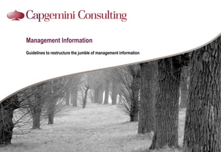 Management Information Guidelines to restructure the jumble of management information 