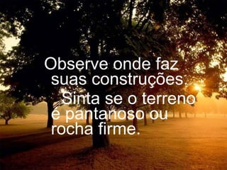 Observe onde faz suas construções. Sinta se o terreno é pantanoso ou rocha firme. 
