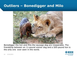 Outliers – Bonedigger and Milo
Bonedigger the lion and Milo the sausage dog are inseparable. The
friendship between an 11-pound wiener dog and a 500-pound lion is
the only one ever seen in the world.
14 5/23/2015
 