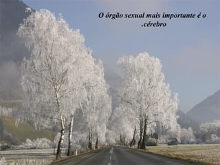 O órgão sexual mais importante é o cérebro.  