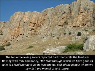 The ten unbelieving scouts reported back that while the land was
flowing with milk and honey, "the land through which we have gone as
spies is a land that devours its inhabitants, and all the people whom we
saw in it are men of great stature.
 