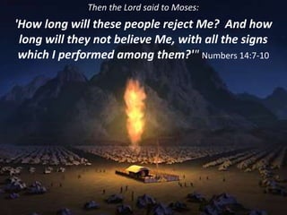 Then the Lord said to Moses:
'How long will these people reject Me? And how
long will they not believe Me, with all the signs
which I performed among them?'" Numbers 14:7-10
 
