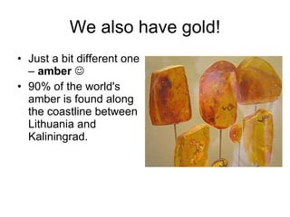 We also have gold! Just a bit different one –  amber    90% of the world's amber is found along the coastline between Lithuania and Kaliningrad.    