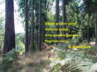 Gaudė gražios girios,
Giriomis aidėjo,
Girių gausmo gandas
Pagiriais nuėjo.
               B. Brazdžionis
 