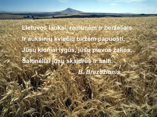 Lietuvos laukai, ramunėm ir berželiais
Ir auksinių kviečių biržėm papuošti,
Jūsų kloniai lygūs, jūsų pievos žalios,
Šaltinėliai jūsų skaidrūs ir šalti.
                     B. Brazdžionis
 