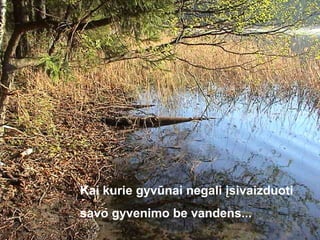 Kai kurie gyvūnai negali įsivaizduoti
savo gyvenimo be vandens...
 