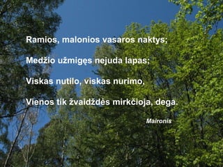Ramios, malonios vasaros naktys;

Medžio užmigęs nejuda lapas;

Viskas nutilo, viskas nurimo,

Vienos tik žvaidždės mirkčioja, dega.

                                Maironis
 