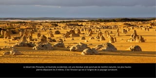 Le désert des Pinnacles, en Australie occidentale, est une étendue aride ponctuée de menhirs naturels. Les plus hautes
pierres dépassent les 3 mètres. C'est l'érosion qui est à l'origine de ce paysage surnaturel.
 
