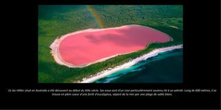 Ce lac Hillier situé en Australie a été découvert au début du XIXe siècle. Ses eaux sont d'un rose particulièrement soutenu lié à sa salinité. Long de 600 mètres, il se
trouve en plein coeur d'une forêt d'eucalyptus, séparé de la mer par une plage de sable blanc
 