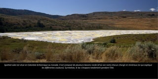 Spotted Lake est situé en Colombie-britannique au Canada. Il est composé de plusieurs bassins ronds (d'où son nom) chacun chargé en minéraux (ce qui explique
les différentes couleurs). Surréaliste, le lac s'évapore totalement pendant l'été.
 