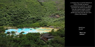 Le Huang Long, au nord du Sichuan en
Chine, accueille ces bassins
extraordinaires et naturels. Il s'agit de
concrétions de calcite qui donnent à
l'eau des couleurs pastel. La forêt
environnante accueille le fameux
panda roux mais aussi des ours noirs
d'Asie et des léopards.
Réalisé par
Clo_09
Merci aux
visiteurs
 