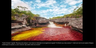 "Caño Cristales" signifie "Ruisseau de cristaux", il est situé en Colombie et est également appelé "la Rivière aux cinq couleurs". Il doit son nom à une espèce d'algues
endémiques et colorée. Le site a été élu "plus belle rivière du monde".
 