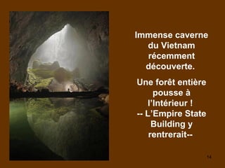 14
Immense caverne
du Vietnam
récemment
découverte.
Une forêt entière
pousse à
l’Intérieur !
-- L’Empire State
Building y
rentrerait--
 
