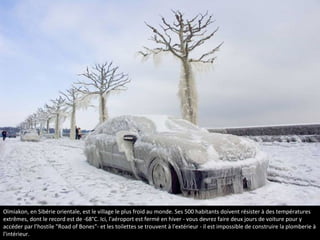 Oïmiakon, en Sibérie orientale, est le village le plus froid au monde. Ses 500 habitants doivent résister à des températures
extrêmes, dont le record est de -68°C. Ici, l'aéroport est fermé en hiver - vous devrez faire deux jours de voiture pour y
accéder par l’hostile "Road of Bones"- et les toilettes se trouvent à l'extérieur - il est impossible de construire la plomberie à
l'intérieur.
Oymyakon en
Sibérie
 