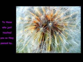 To those
who just
touched
you as they
passed by…
 