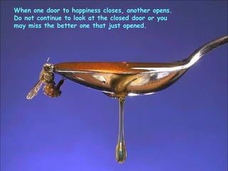 When one door to happiness closes, another opens.
Do not continue to look at the closed door or you
may miss the better one that just opened.
 