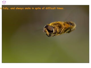 fe fully, and always smile in spite of difficult times.
 