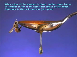 When a door of the happiness is closed, another opens, but us, we continue to look at the closed door and we do not attach importance to that which we have just opened. 