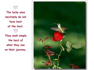The lucky ones inevitably do not have best of the best. They seek simply the best of what they see on their journey. 