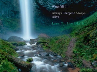   Waterfall ! ! Always Energetic Always Alive Learn  To   Live  Like  It !! 