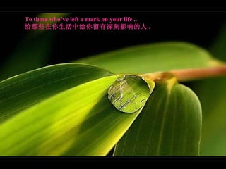 To those who’ve left a mark on your life  .. 给那些在你生活中给你留有深刻影响的人 . 