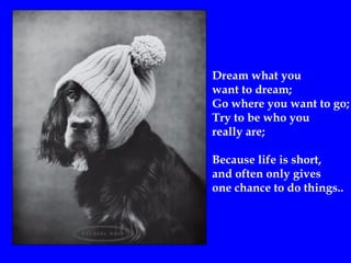 Dream what you  want to dream ; Go where you want to go ; Try to be who you  really are; Because life is short, and often only gives  one chance to do things.. 