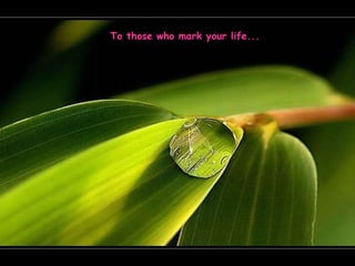 To those who mark your life... 