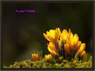 to your friends...   