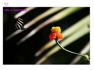 Life is beautiful!!! 