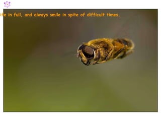 Live the life in full, and always smile in spite of difficult times. 