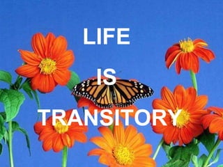 Speakers On LIFE  IS  TRANSITORY 