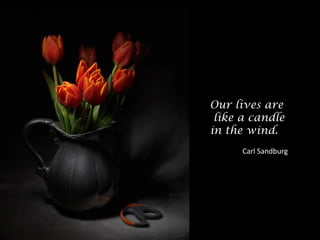 Our lives are
like a candle
in the wind.
Carl Sandburg
 